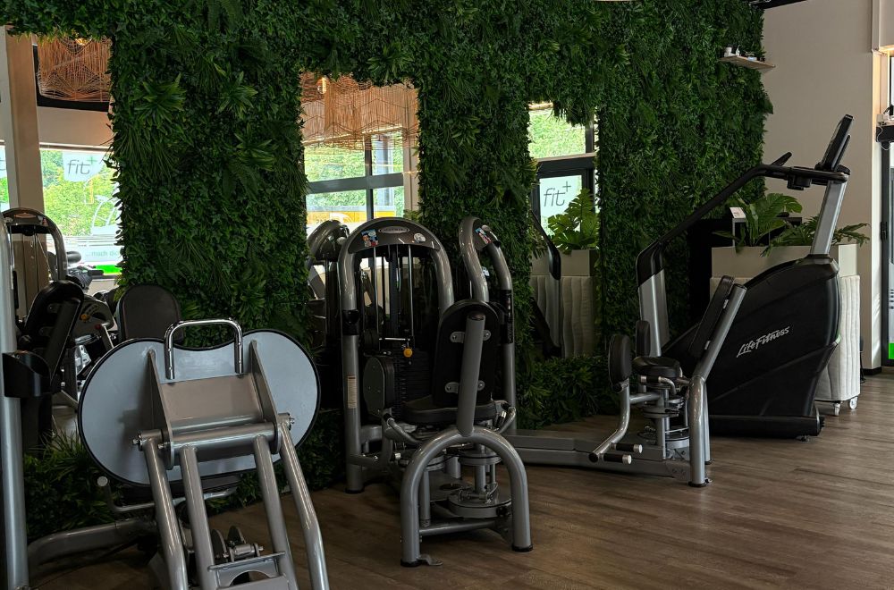fitplus_Birkenau_Krafttraining